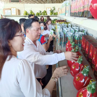 Đồng Nai: Đưa nhiều sản phẩm nông nghiệp OCOP vào bán tại hệ thống Mega Market Biên Hòa