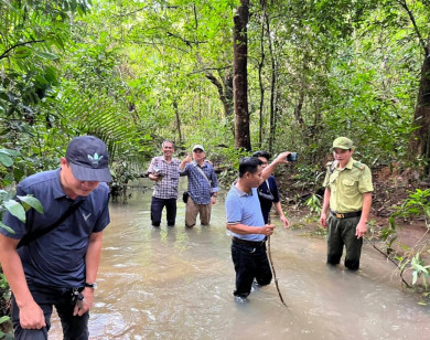 Khám phá rừng Mã Đà – lá phổi xanh ở miền Đông Nam Bộ