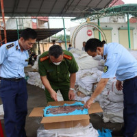 Lạng Sơn: Phát hiện gần 90 tấn nội tạng bò, ngựa không rõ nguồn gốc