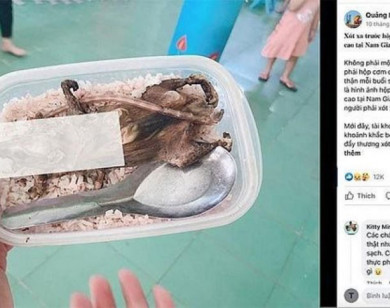 Sự thật về bức ảnh ''hộp cơm thịt chuột'' của học sinh vùng cao Quảng Nam