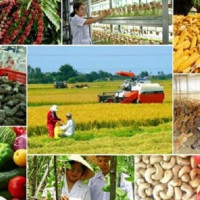 Chín tháng năm 2022 ngành nông nghiệp tăng trưởng xấp xỉ 3 %