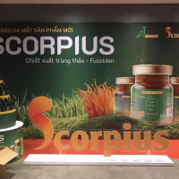 AT Foods ra mắt nước chiết xuất trùng thảo Fucoidan nhãn hiệu Scorpius