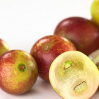 Lợi ích sức khỏe tuyệt vời của quả Camu camu