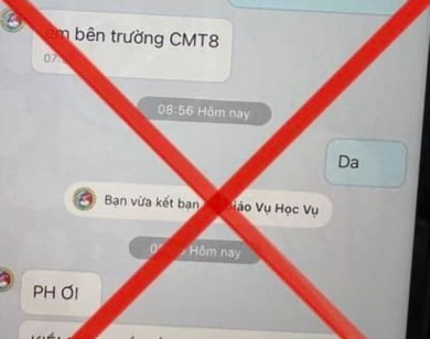 TP Hồ Chí Minh: Mạo danh nhà trường gửi tin nhắn cho phụ huynh yêu cầu đóng tiền