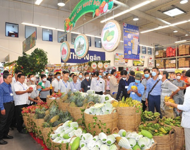 Nông dân tỉnh Đồng Tháp thăm quan MM Mega Market