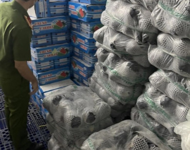 Phát hiện gần 12 tấn rau, củ nhập lậu ở TP Hồ Chí Minh