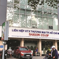 Vụ án Saigon Co.op: Bị can Diệp Dũng đã sử dụng 1.000 tỷ đồng thế nào?