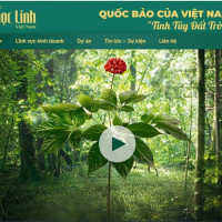 Công ty Cổ phần Rượu sâm Ngọc Linh Kon Tum trồng sâm Ngọc Linh 