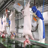 Chính phủ chỉ đạo tăng cường quản lý, đảm bảo an toàn thực phẩm