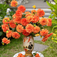 Tử vi hàng ngày - Thứ Ba 17/1/2023 của 12 cung hoàng đạo