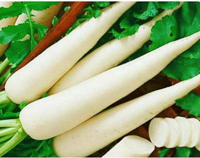 4 cách bảo quản củ cải trắng bạn cần biết