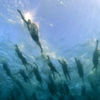 Khánh Hòa tổ chức Giải bơi biển quốc tế The Arena Oceanman Cam Ranh Việt Nam