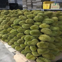 Năm 2023 kỳ vọng xuất khẩu sầu riêng đạt kim ngạch 1 tỷ USD