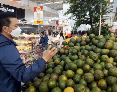 Giá cam sành đồng loạt giảm tại các chợ và siêu thị