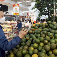 Giá cam sành đồng loạt giảm tại các chợ và siêu thị