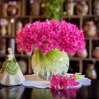 Tử vi hàng ngày - Thứ Hai 20/2/2023 của 12 cung hoàng đạo