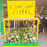 Nhiều siêu thị ở TP Hồ Chí Minh chung tay hỗ trợ giải cứu cam miền Tây