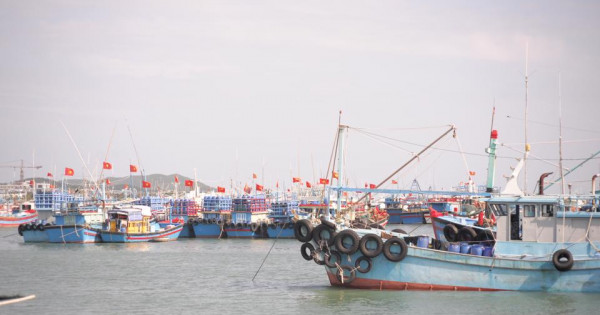 Hàng trăm tàu cá mắc kẹt tại Trường Sa đang cạn lương thực