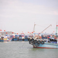 Hàng trăm tàu cá mắc kẹt tại Trường Sa đang cạn lương thực