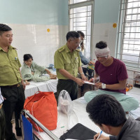 Đồng Nai: 3 kiểm lâm viên giữ rừng bị “lâm tặc” chém trọng thương