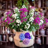 Tử vi hàng ngày - Thứ Ba 7/3/2023 của 12 cung hoàng đạo