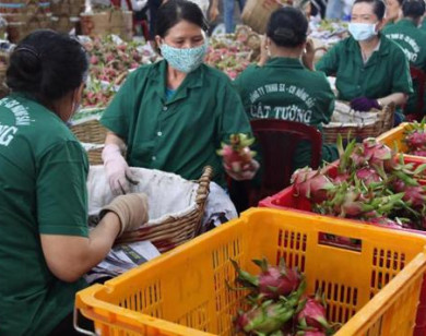 Xúc tiến thương mại, cú hích đưa hàng Việt thâm nhập thị trường Trung Quốc