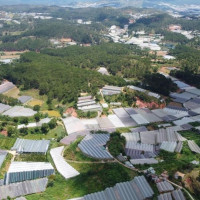 Lâm Đồng từ chối ý tưởng quy hoạch dự án 11ha của Tân Thành Holdings