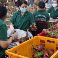 Xúc tiến thương mại, cú hích đưa hàng Việt thâm nhập thị trường Trung Quốc