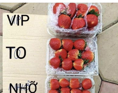 Đừng ham rẻ, mua nhầm dâu tây giả Đà Lạt, Mộc Châu