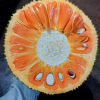 Tiêu dùng trong tuần (từ 6-12/3/2023): Mít ruột đỏ tăng giá chóng mặt, thương lái lùng mua từng quả