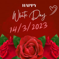 Lời chúc Valentine Trắng 14/3 hay, ý nghĩa, lãng mạn