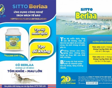 SITTO Berlaa tạo lớp bảo vệ vững chắc cho hệ miễn dịch của tôm