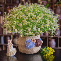 Tử vi hàng ngày - Thứ Ba 4/4/2023 của 12 cung hoàng đạo 