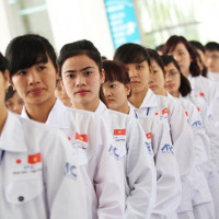 Đề xuất đưa lao động Việt Nam sang Nhật Bản không mất phí