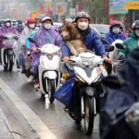 Dự báo thời tiết ngày 8/4/2023: Hà Nội có lúc có mưa, trời rét