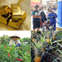 Tiêu dùng trong tuần (từ 3-9/4/2023): Nhiều mặt hàng đồng loạt tăng giá