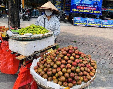 Mơ mận đầu mùa giá cao vẫn đắt khách