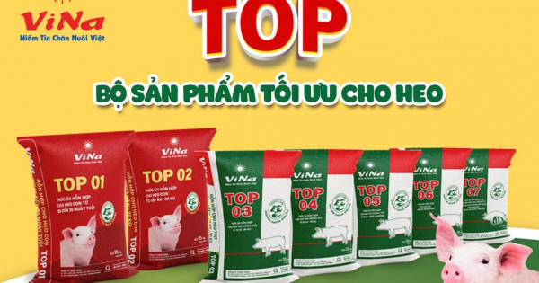 Vinafeed Group ra mắt dòng sản phẩm cao cấp mới cho heo giống 