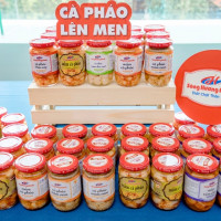 Doanh nhân Việt muốn biến cà pháo thành sản phẩm du lịch