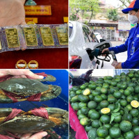 Tiêu dùng trong tuần (từ 10-16/4/2023): Giá vàng, cam sành, phân bón đồng loạt giảm