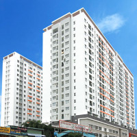 Hơn 81.000 căn hộ, nhà ở tại TP Hồ Chí Minh được cấp sổ hồng