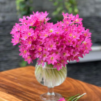 Tử vi hàng ngày - Chủ Nhật 30/4/2023 của 12 cung hoàng đạo