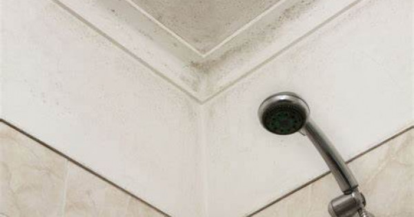 2 cách loại bỏ nấm mốc trên trần nhà tắm hiêu quả