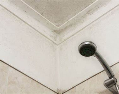 2 cách loại bỏ nấm mốc trên trần nhà tắm hiêu quả