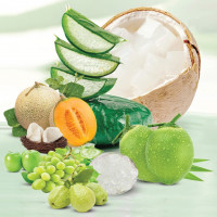 G.C Food đưa nông sản Việt chinh phục thị trường thế giới