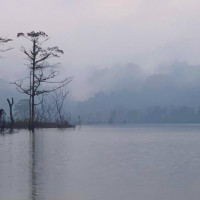 Hà Tĩnh: Vương vấn Ngàn Trươi