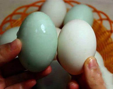 Mua trứng vịt nên chọn quả vỏ màu trắng hay xanh là bổ nhất