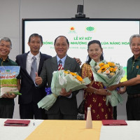 Lộc Trời nhận chuyển nhượng quyền giống lúa Nàng Hoa 9