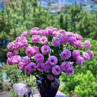 Tử vi hàng ngày - Thứ Tư 31/5/2023 của 12 cung hoàng đạo