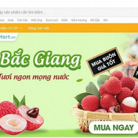 Thương mại điện tử đưa nông sản Việt vươn xa